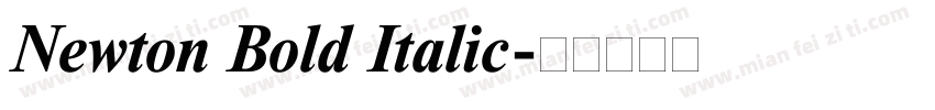 Newton Bold Italic字体转换